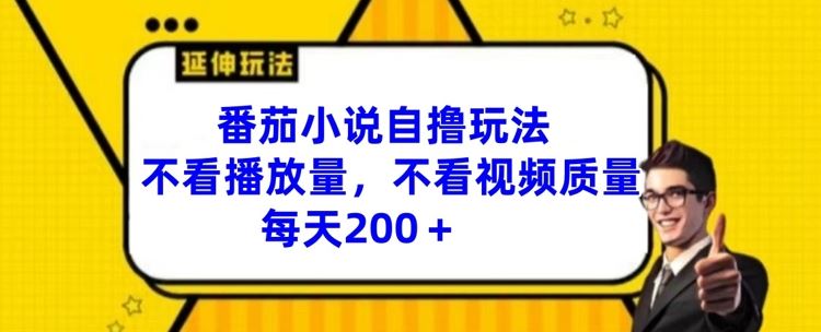 番茄小说自撸玩法，不看播放量，不看视频质量，每天200+【揭秘】-凌秋网创