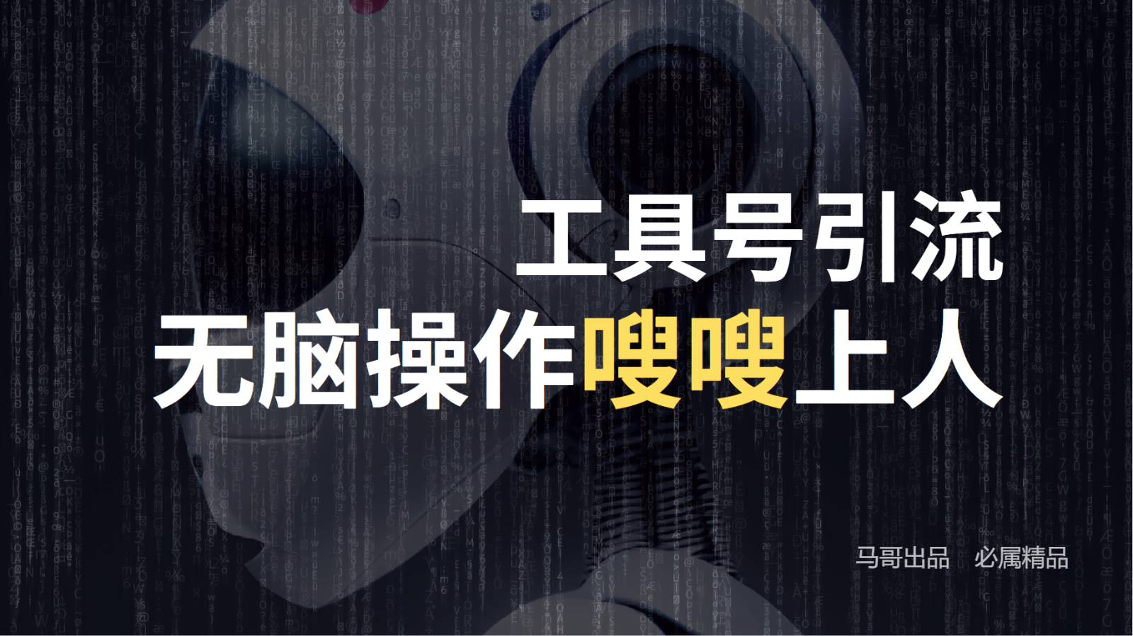 工具号高效引流法，嗖嗖上人，日引1000+，直接搬运，无脑操作-凌秋网创