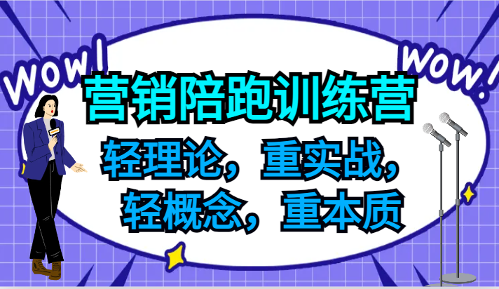 营销陪跑训练营，轻理论，重实战，轻概念，重本质，适合中小企业和初创企业的老板-凌秋网创