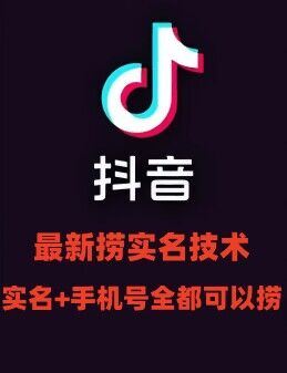 最新技术抖音捞实名+捞手机号技术，抖音直播封禁释放十名/手机号，直接替换出来!-凌秋网创