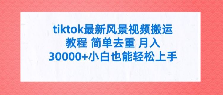 tiktok最新风景视频搬运教程 简单去重 月入3W+小白也能轻松上手【揭秘】-凌秋网创