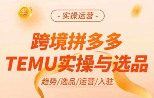 跨境拼多多TEMU实操与选品，多多temu跨境选品运营实操-凌秋网创