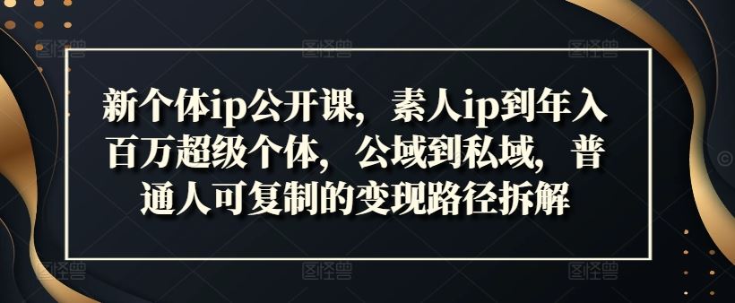 新个体ip公开课，素人ip到年入百万超级个体，公域到私域，普通人可复制的变现路径拆解-凌秋网创