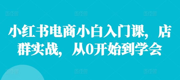 小红书电商小白入门课，店群实战，从0开始到学会-凌秋网创