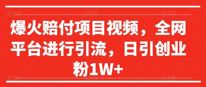 爆火赔付项目视频，全网平台进行引流，日引创业粉1W+【揭秘】-凌秋网创