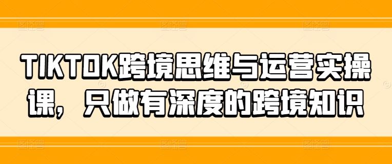 TIKTOK跨境思维与运营实操课，只做有深度的跨境知识-凌秋网创