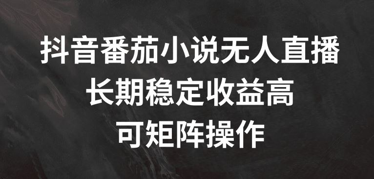 抖音番茄小说无人直播，长期稳定收益高，可矩阵操作【揭秘】-凌秋网创