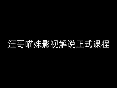 汪哥影视解说正式课程：剪映/PR教学/视解说剪辑5大黄金法则/全流程剪辑7把利器等等-凌秋网创