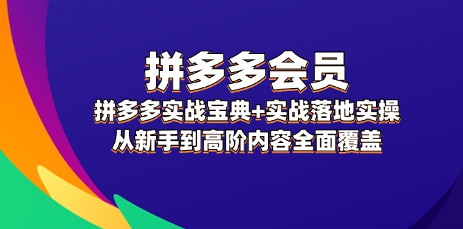 （12056期）拼多多 会员，拼多多实战宝典+实战落地实操，从新手到高阶内容全面覆盖-凌秋网创