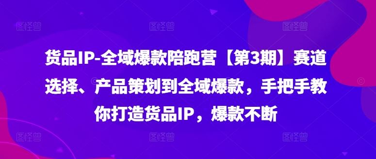 货品IP全域爆款陪跑营【第3期】赛道选择、产品策划到全域爆款，手把手教你打造货品IP，爆款不断-凌秋网创