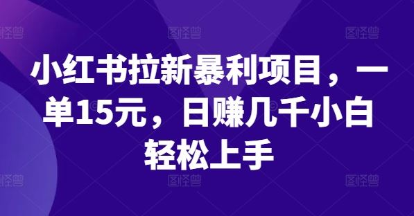 小红书拉新暴利项目，一单15元，日赚几千小白轻松上手【揭秘】-凌秋网创