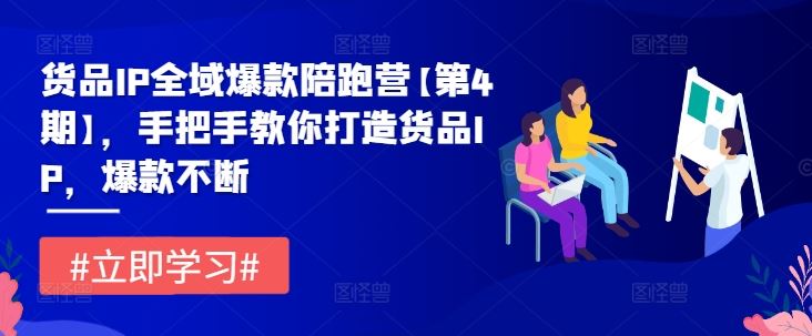 货品IP全域爆款陪跑营【第4期】，手把手教你打造货品IP，爆款不断-凌秋网创