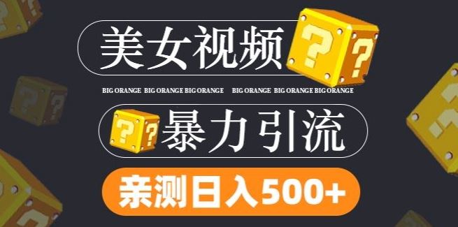 搬运tk美女视频全网分发，日引s粉300+，轻松变现，不限流量不封号【揭秘】-凌秋网创