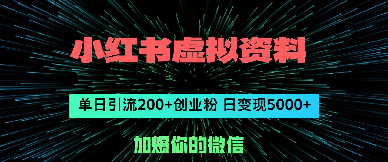 （12164期）小红书虚拟资料日引流200+创业粉，单日变现5000+-凌秋网创
