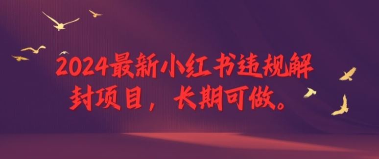 2024最新小红书违规解封项目，长期可做，一个可以做到退休的项目【揭秘】-凌秋网创