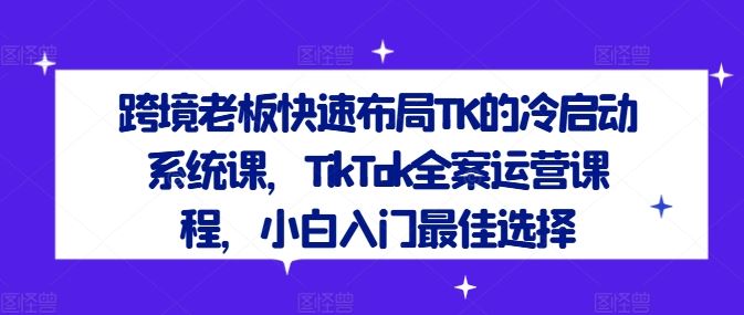 跨境老板快速布局TK的冷启动系统课，TikTok全案运营课程，小白入门最佳选择-凌秋网创