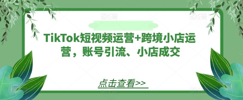 TikTok短视频运营+跨境小店运营，账号引流、小店成交-凌秋网创