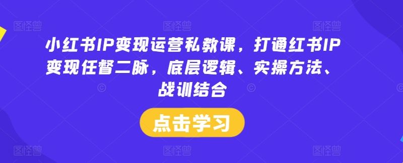 小红书IP变现运营私教课，打通红书IP变现任督二脉，底层逻辑、实操方法、战训结合-凌秋网创
