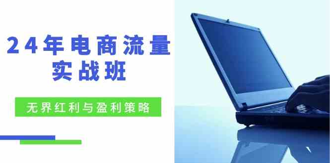 电商流量实战班：无界红利与盈利策略，终极提升/关键词优化/精准人群拓展/创新玩法-凌秋网创