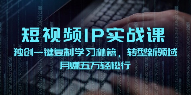 （12193期）短视频 IP实战课，独创一键复制学习秘籍，转战新领域，月赚五万轻松行-凌秋网创
