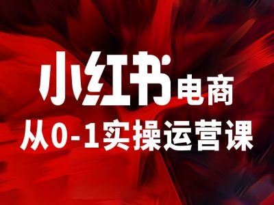 小红书电商从0-1实操运营课，让你从小白到精英-凌秋网创