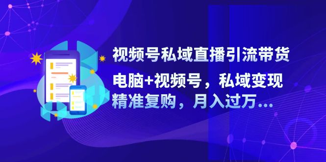 （12249期）视频号私域直播引流带货：电脑+视频号，私域变现，精准复购，月入过万…-凌秋网创