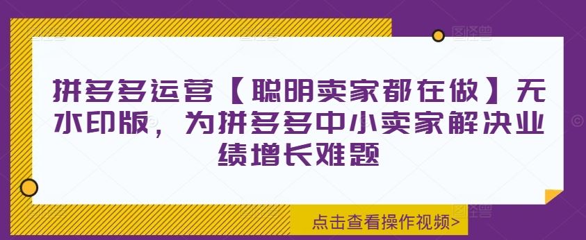 拼多多运营【聪明卖家都在做】无水印版，为拼多多中小卖家解决业绩增长难题-凌秋网创
