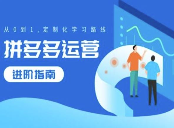 拼多多运营进阶指南，从0到1定制化学习路线-凌秋网创
