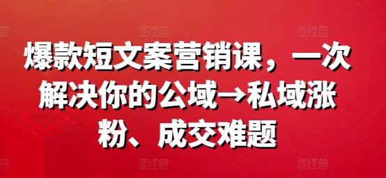 爆款短文案营销课，一次解决你的公域→私域涨粉、成交难题-凌秋网创