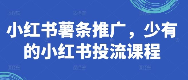 小红书薯条推广，少有的小红书投流课程-凌秋网创