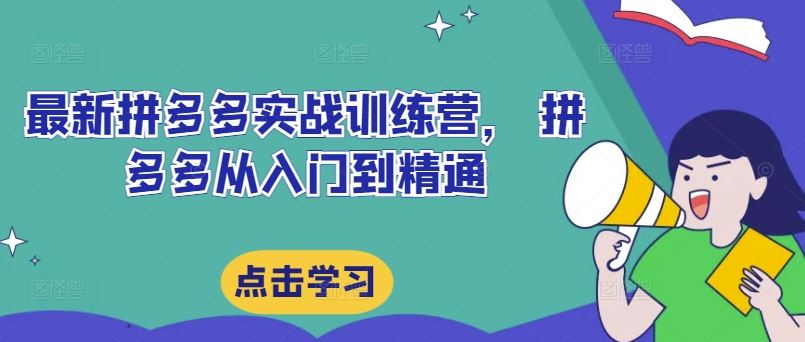 最新拼多多实战训练营， 拼多多从入门到精通-凌秋网创