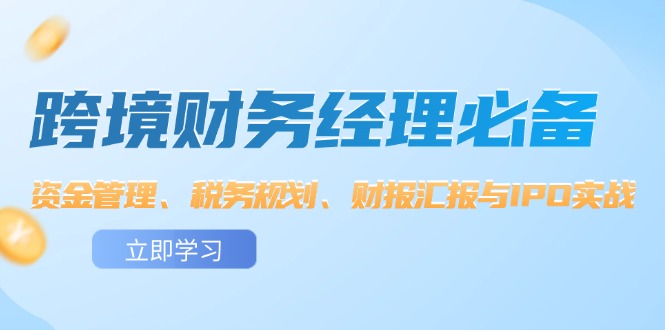 （12323期）跨境 财务经理必备：资金管理、税务规划、财报汇报与IPO实战-凌秋网创
