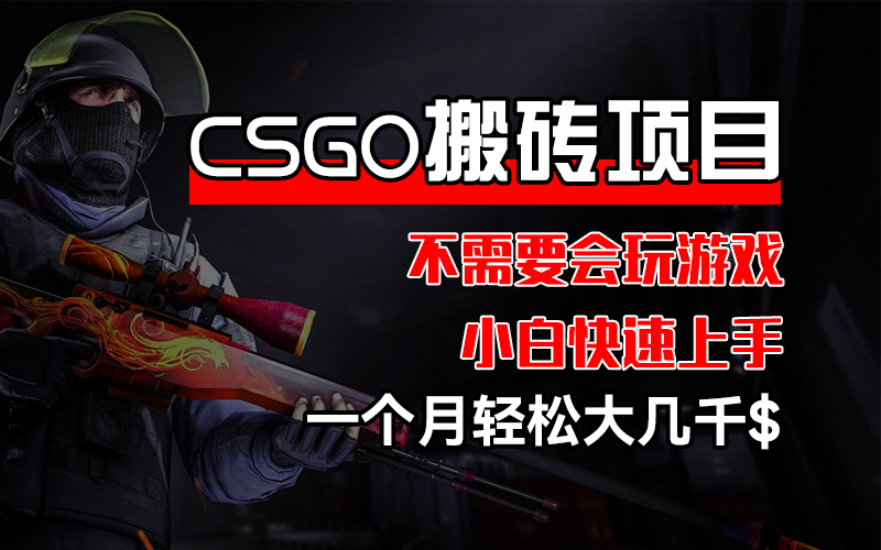 （12332期）CSGO 装备搬砖项目，操作简单，不需要会玩游戏，小白也能快速上手，一…-凌秋网创