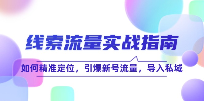 （12382期）线 索 流 量-实战指南：如何精准定位，引爆新号流量，导入私域-凌秋网创