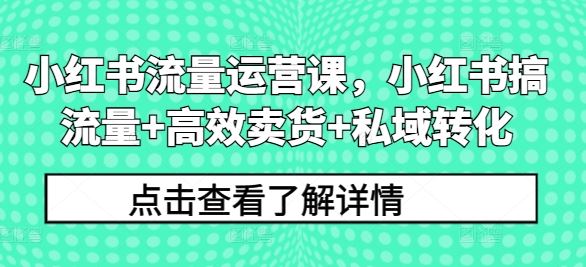 小红书流量运营课，小红书搞流量+高效卖货+私域转化-凌秋网创