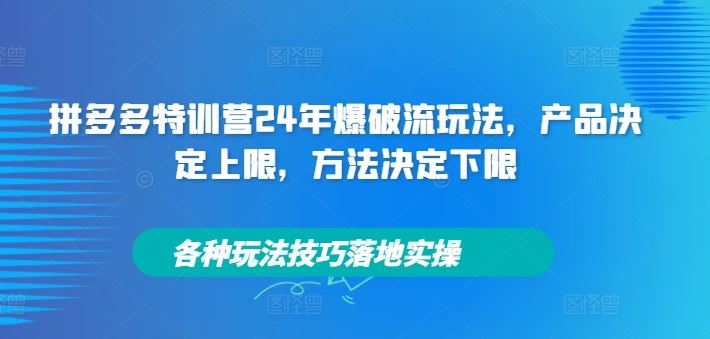 拼多多特训营24年爆破流玩法，产品决定上限，方法决定下限，各种玩法技巧落地实操-凌秋网创