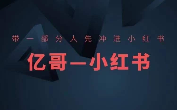 ​​带一部分人先冲进小红书，小红书开店、选品、爆款裂变-凌秋网创