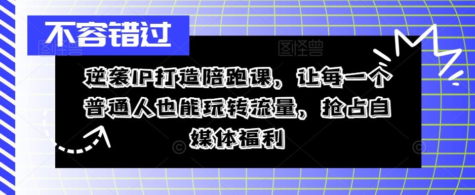 逆袭IP打造陪跑课，让每一个普通人也能玩转流量，抢占自媒体福利-凌秋网创