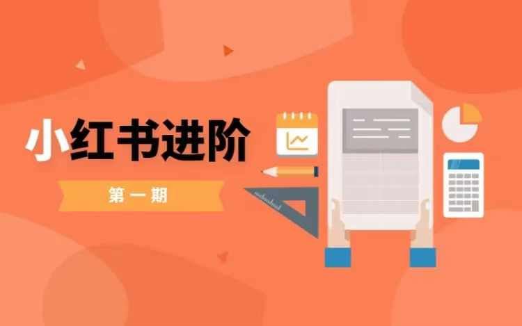 小红书进阶篇，零基础小白实战课，普通人变现的课程-凌秋网创
