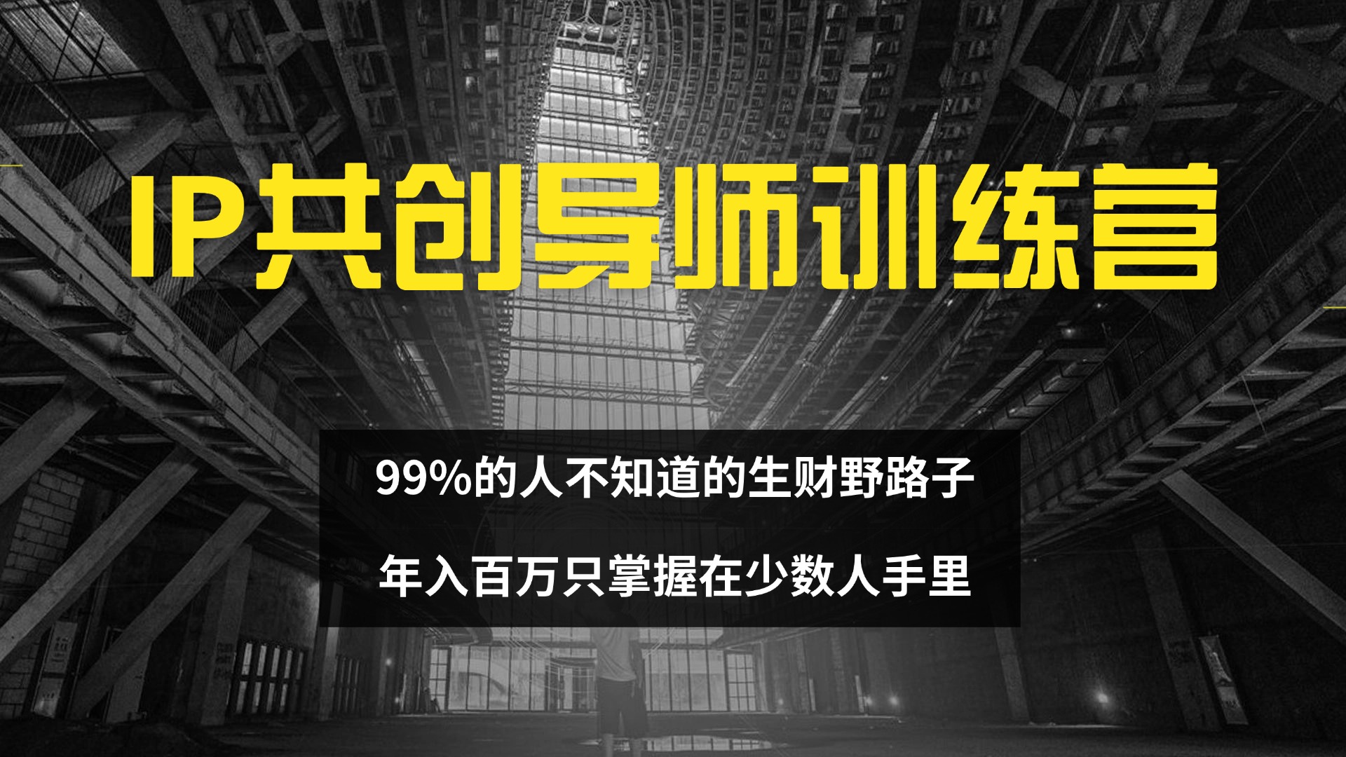 （12504期）IP共创导师训练营 99%的人不知道的生财野路子 只掌握在少数人手里-凌秋网创