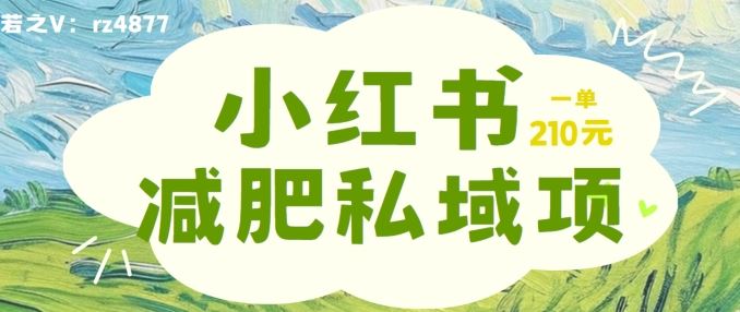 小红书减肥粉，私域变现项目，一单就达210元，小白也能轻松上手【揭秘】-凌秋网创