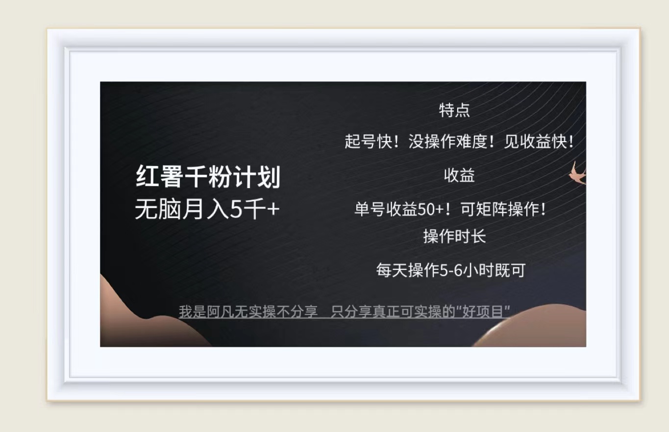 （12560期）红薯千粉计划无脑月入5千+！既做既赚！-凌秋网创