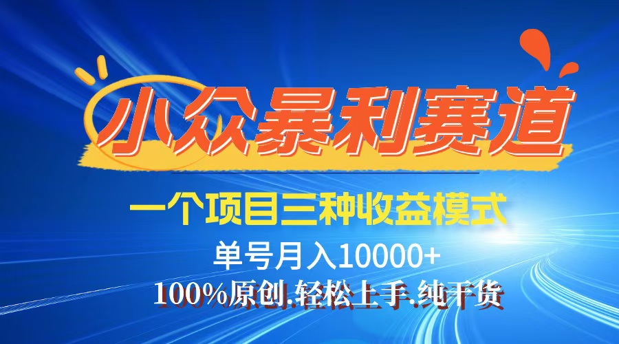 （12579期）【老人言】-视频号爆火赛道，三种变现方式，0粉新号调调爆款-凌秋网创