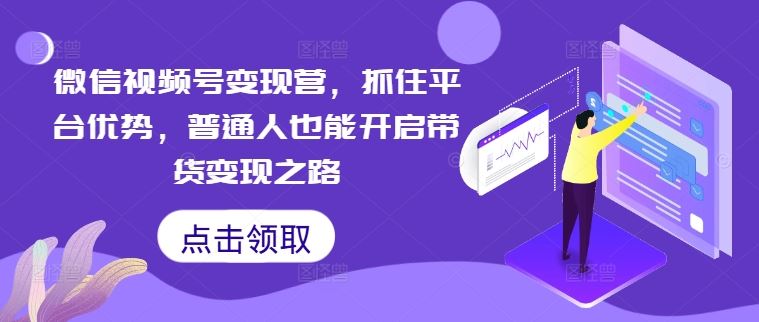 微信视频号变现营，抓住平台优势，普通人也能开启带货变现之路-凌秋网创