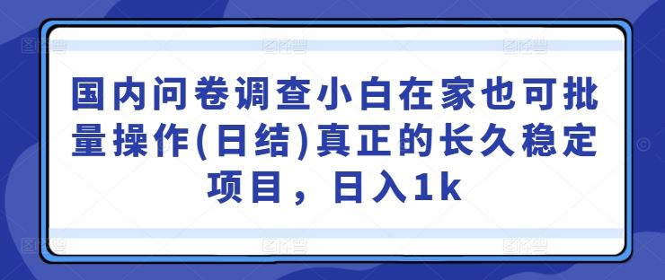 国内问卷调查小白在家也可批量操作(日结)真正的长久稳定项目，日入1k【揭秘】-凌秋网创