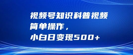 视频号知识科普视频，简单操作，小白日变现500+【揭秘】-凌秋网创
