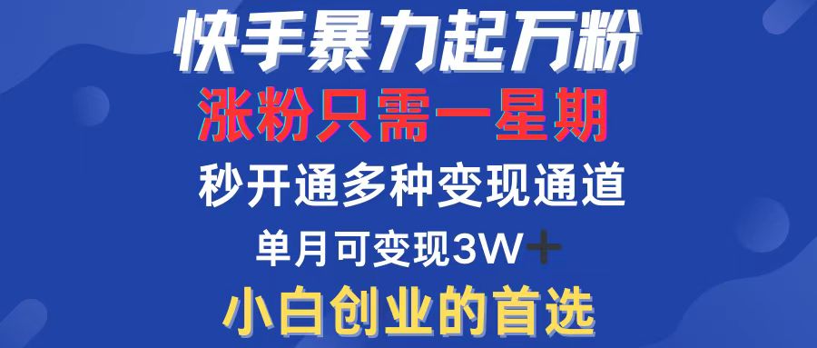 （12651期）快手暴力起万粉，涨粉只需一星期，多种变现模式，直接秒开万合，小白创…-凌秋网创