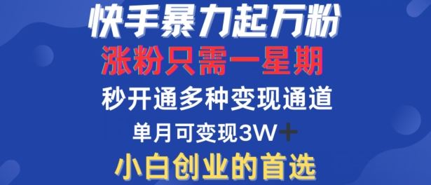 快手暴力起万粉，涨粉只需一星期，多种变现模式，直接秒开万合，单月变现过W【揭秘】-凌秋网创