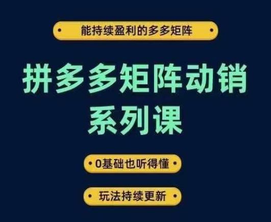 拼多多矩阵动销系列课，能持续盈利的多多矩阵，0基础也听得懂，玩法持续更新-凌秋网创