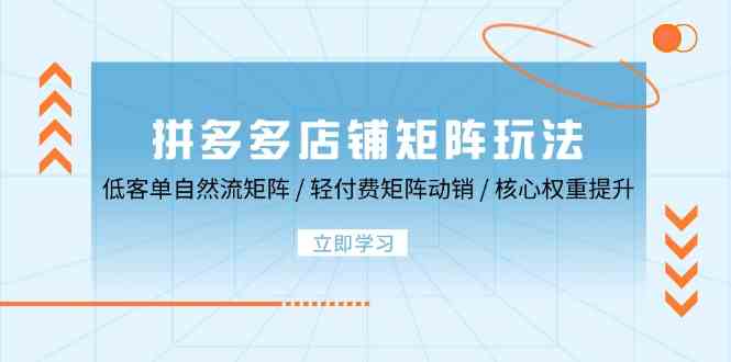 拼多多店铺矩阵玩法：低客单自然流矩阵 / 轻付费矩阵 动销 / 核心权重提升-凌秋网创